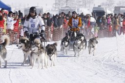 Lenk 2013